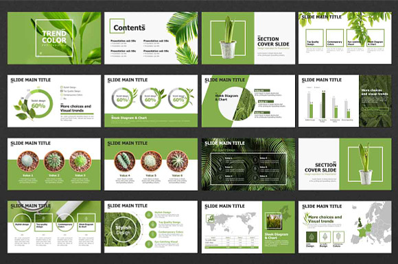 TREND COLOR Presentation in PowerPoint Templates - product preview 1