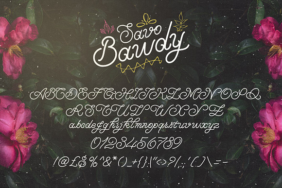 Savo Bawdy - Typeface in Display Fonts - product preview 4