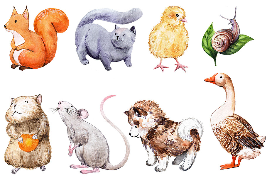  25 watercolor animals and birds