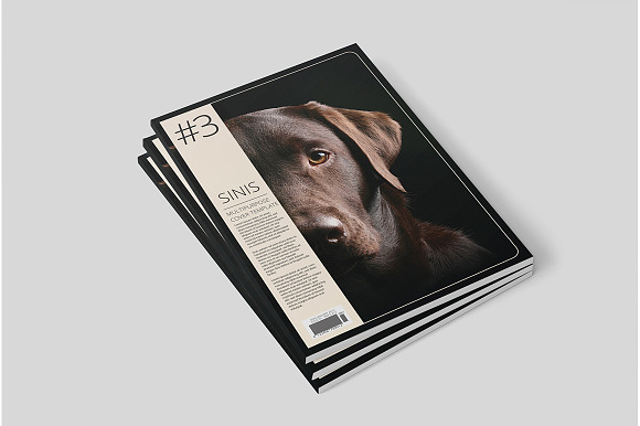 Sinis - A4 Cover Template in Magazine Templates - product preview 6