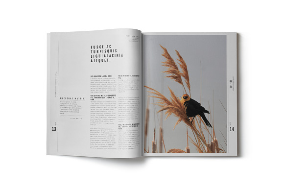 Art-ist Magazine Template Vol.17 in Magazine Templates - product preview 10