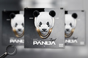 Panda | Conceptual Cover Template