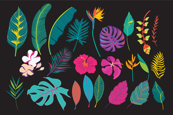 Fancy Tropical flower and leaf in Illustrations - product preview 1