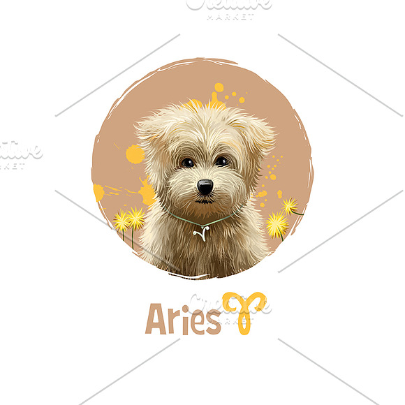 Zodiac signs  - DOGS HOROSCOPE in Dog Icons - product preview 2
