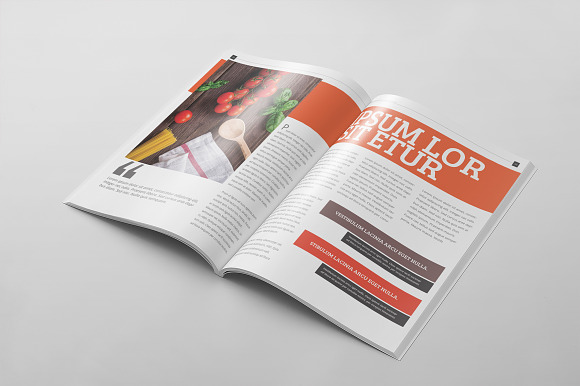 Magazine Template 63 in Magazine Templates - product preview 10