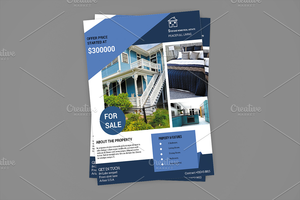 Real Estate Flyer Template V583 in Flyer Templates - product preview 8