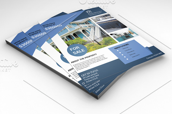 Real Estate Flyer Template V583 in Flyer Templates - product preview 1