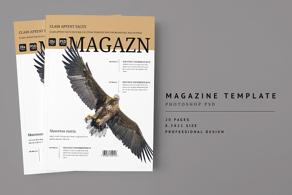 2000+ Magazine Bundle - 97% Off in Magazine Templates - product preview 13