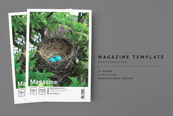 2000+ Magazine Bundle - 97% Off in Magazine Templates - product preview 19