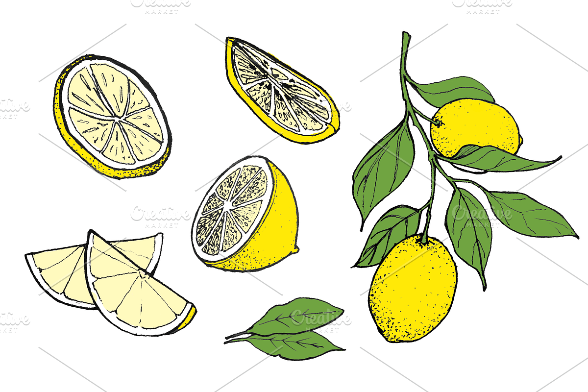 Hand-drawn Lemon Illustration, Color in Illustrations - product preview 8