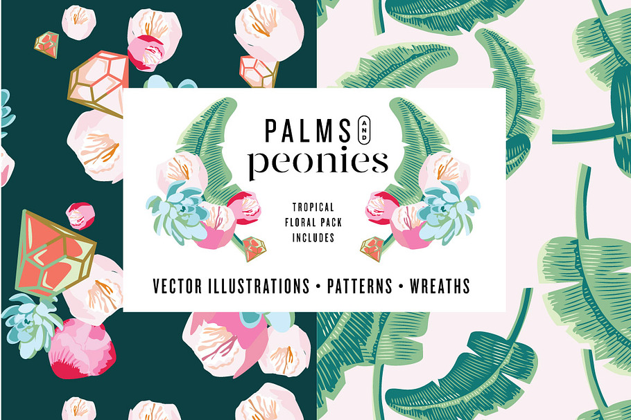 SALE! Palm Succulent Illustrations in Illustrations - product preview 8
