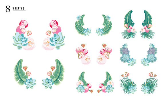 SALE! Palm Succulent Illustrations in Illustrations - product preview 3