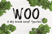WOO Dry Brush Script Typeface