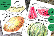Ink and watercolor fruits 2