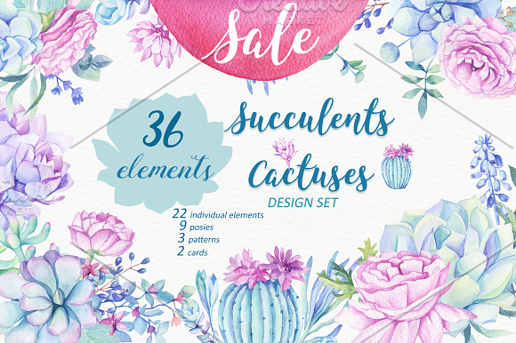 Succulents & Cactuses in Illustrations - product preview 7