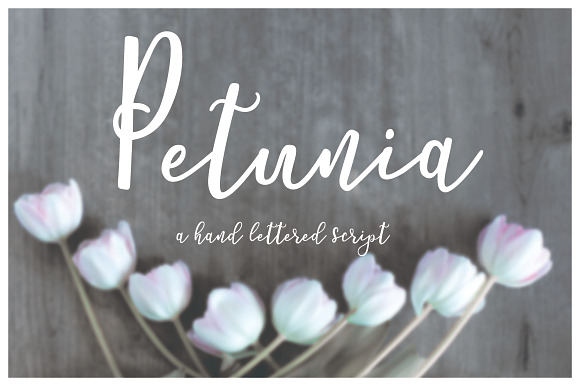 Petunia Script in Script Fonts - product preview 6