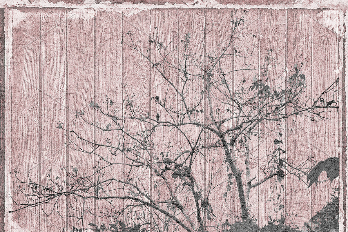 Grunge Nature Background Design in Illustrations - product preview 8