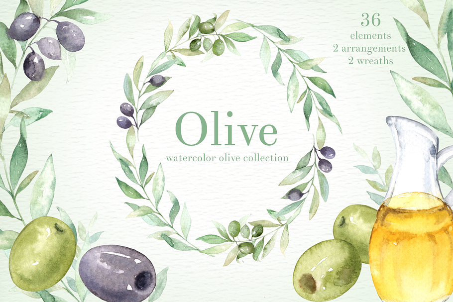 Olive Watercolor clipart in Illustrations - product preview 8
