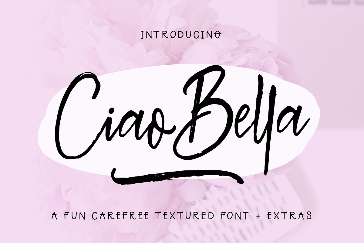 Ciao Bella Font + Extras in Script Fonts - product preview 8