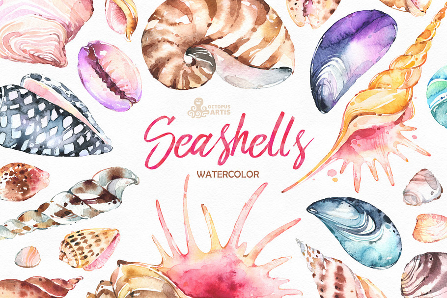 Seashells. Watercolor collection in Objects - product preview 8