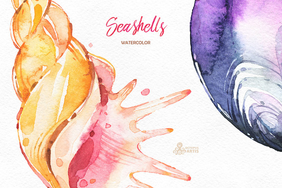 Seashells. Watercolor collection in Objects - product preview 2