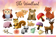 The woodland animals