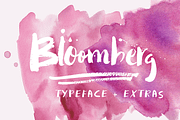 BLOOMBERG FONT +  EXTRAS