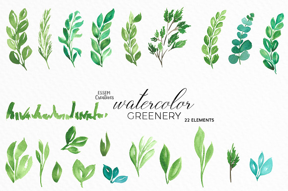Watercolor Greenery Leaves Clipart in Illustrations - product preview 1