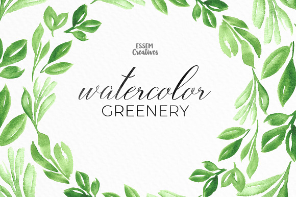 Watercolor Greenery Leaves Clipart in Illustrations - product preview 3