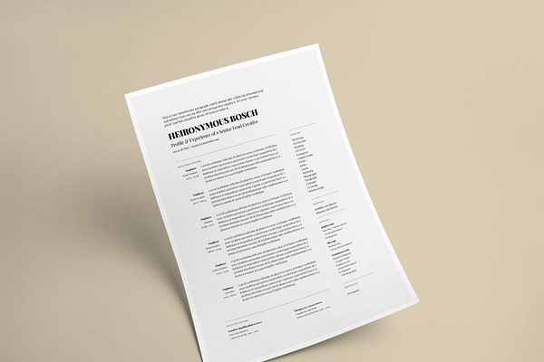 Simple, one-page CV/Resume