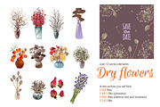 Dry Flowers Set