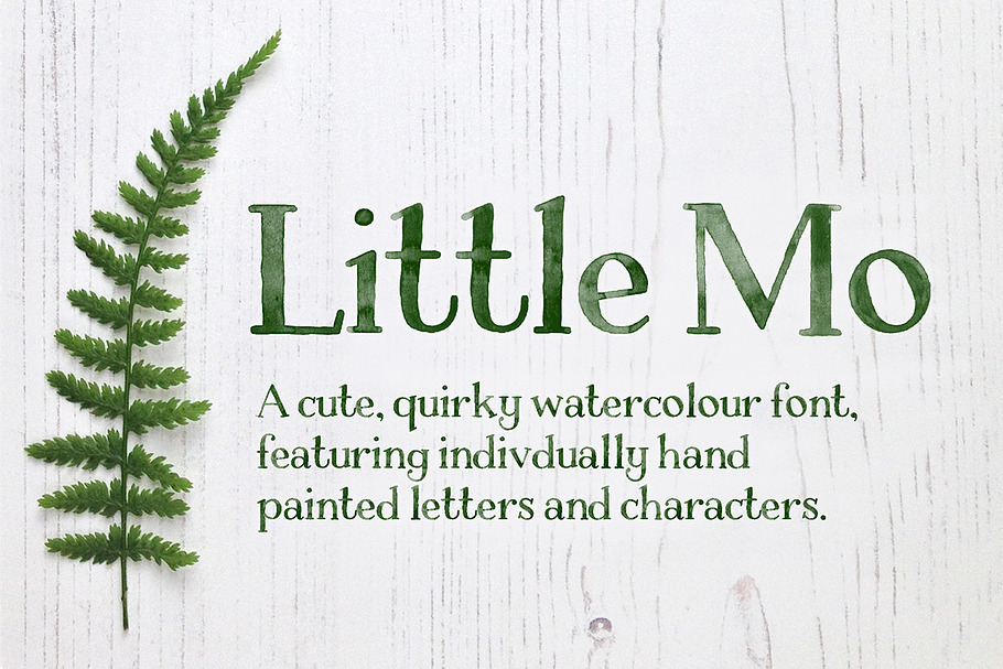 Little Mo Watercolour Display Font in Display Fonts - product preview 8