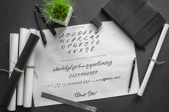 Spectacular Script in Script Fonts - product preview 10