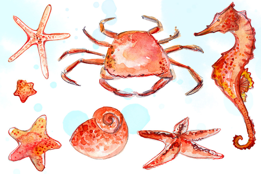 Beach animals clipart in Illustrations - product preview 8