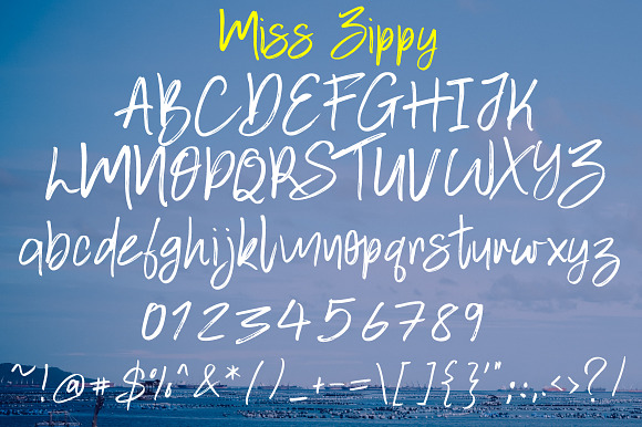 Miss Zippy | Chic Typeface in Script Fonts - product preview 5