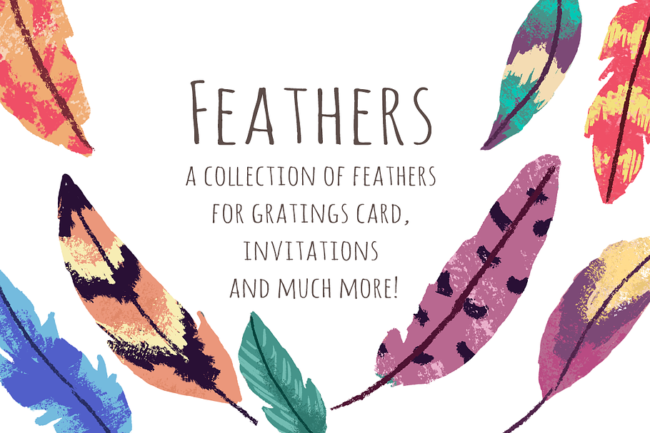 Feathers ClipArt Set