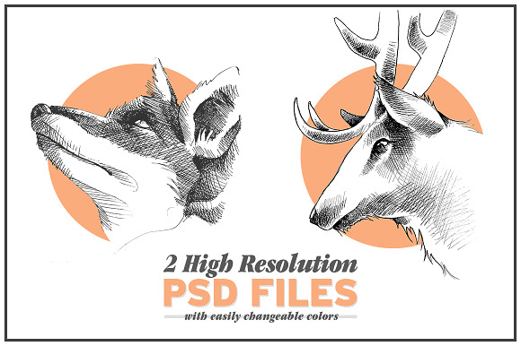 Oh Deer Fox! in Illustrations - product preview 2