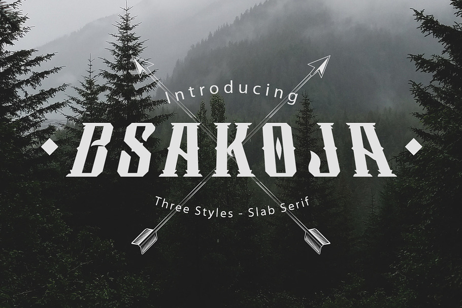 Bsakoja in Slab Serif Fonts - product preview 8