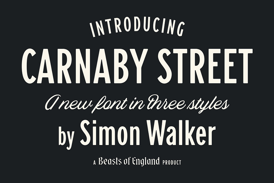 Carnaby Street in Sans-Serif Fonts - product preview 8