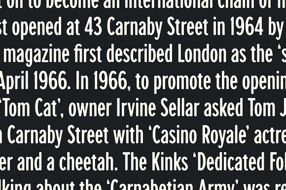 Carnaby Street in Sans-Serif Fonts - product preview 7
