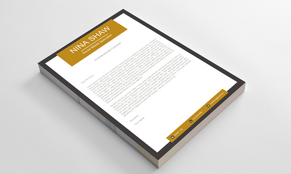 Aurora Resume Template in Resume Templates - product preview 2
