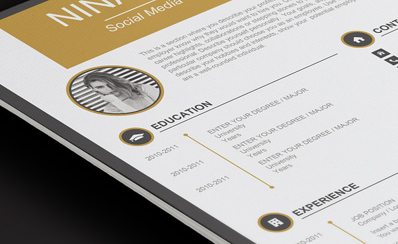 Aurora Resume Template in Resume Templates - product preview 3