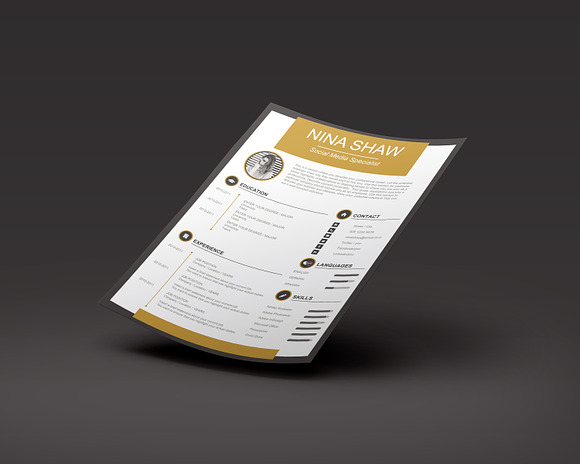 Aurora Resume Template in Resume Templates - product preview 5