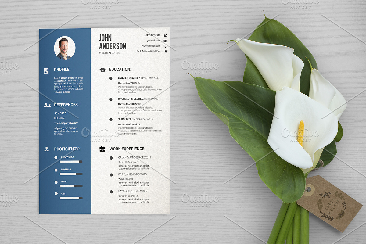 Clean Resume Template-V033 in Resume Templates - product preview 8