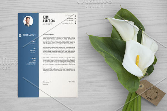 Clean Resume Template-V033 in Resume Templates - product preview 1