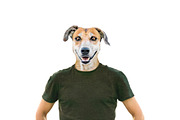 Isolated Photo Man with Dog Head