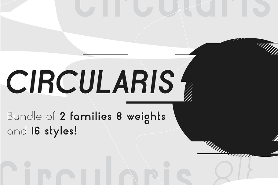 Circularis /bundle of 16 fonts/ in Sans-Serif Fonts - product preview 8