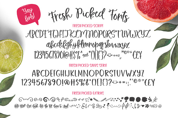 Fresh Picked Watercolor & Font Kit in Fonts - product preview 3
