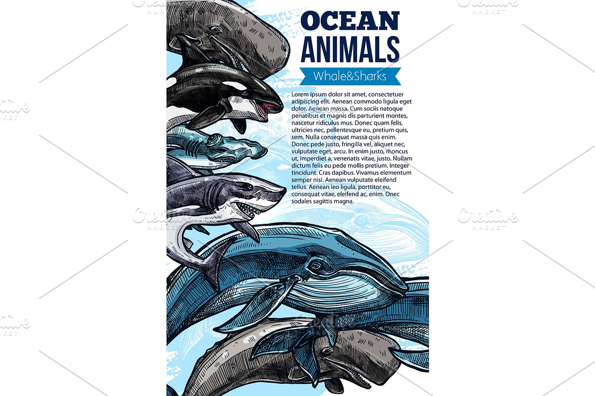 Whale and shark ocean animal sketch poster in Illustrations - product preview 8