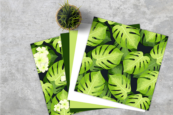 Monstera in Illustrations - product preview 1